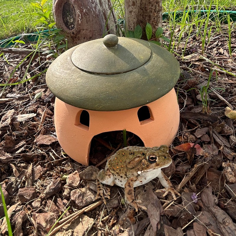 Terracotta Reptile Cave with Green Lid - 8 * 6