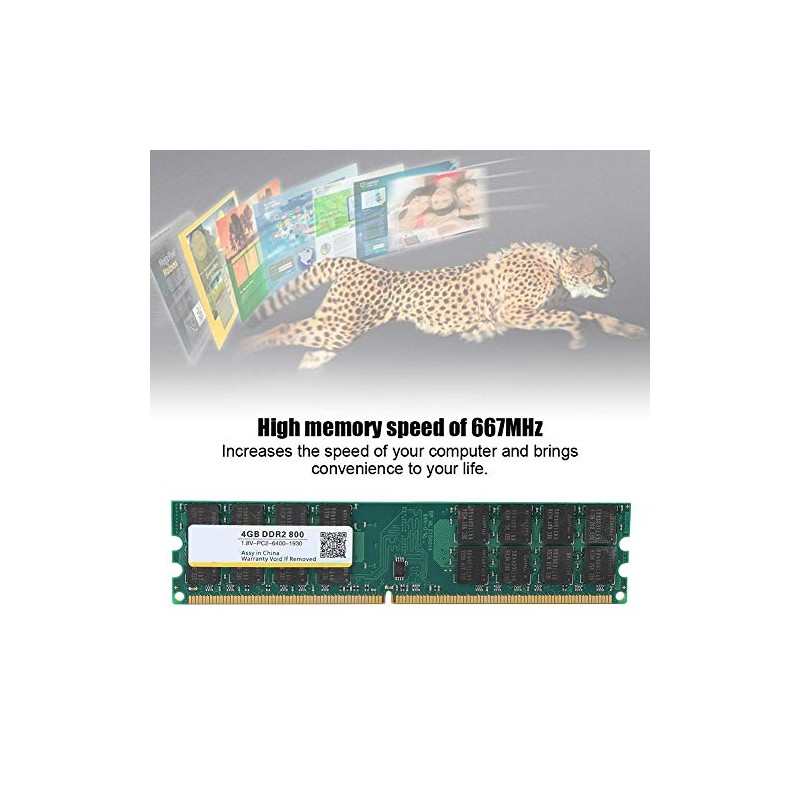 4 GB DDR2 800MHZ 240Pin PC2-6400 Módulo de Memoria de