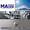 Pure Magnesium 99.95% Pellet (Beads), Diameter 0.2 inches (6 mm)