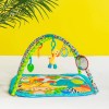Bright Starts Zippy Zoo Activity Gym