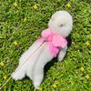 HDKUW Dog Harness with Leash Set, Dog Harness with Angel