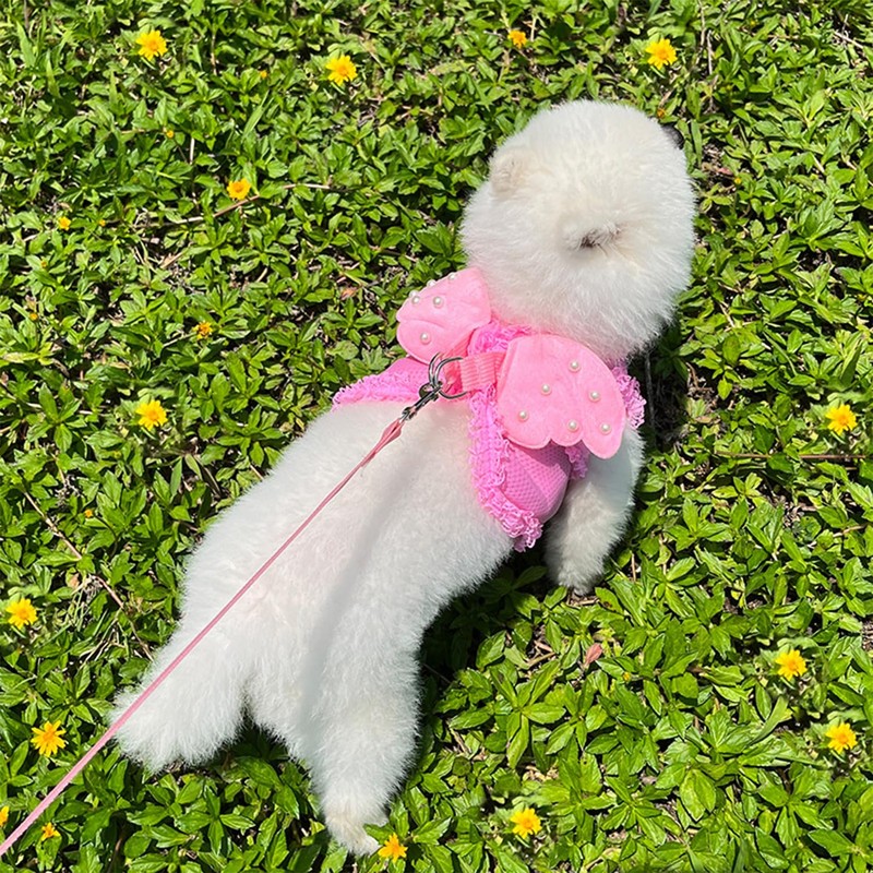 HDKUW Dog Harness with Leash Set, Dog Harness with Angel