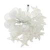 ZDAYOZ Starfish Shell String Light, 13.85 ft, 40 Warm White