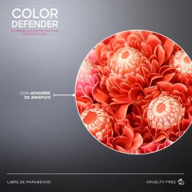 MARTHA DEBYALE HAIR TECH Color Defender Shampoo. Color, con Jengibre de Awapuhi, 450 ml.                                                              