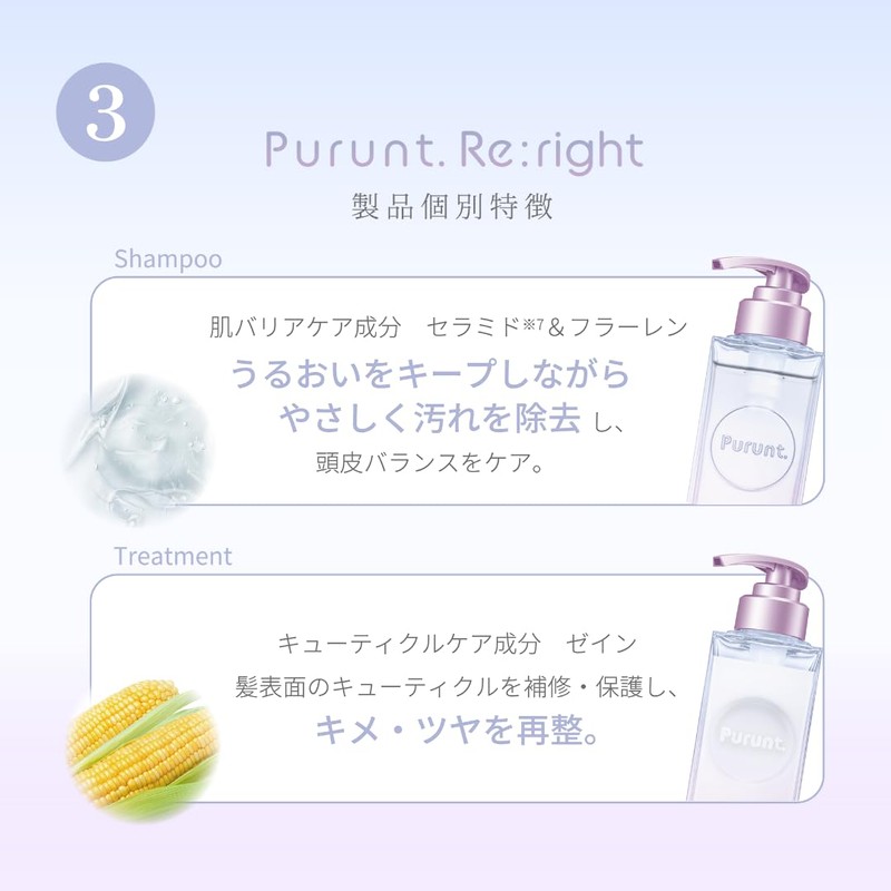 Purunt Shampoo Treatment Refill Set (Rewrite)