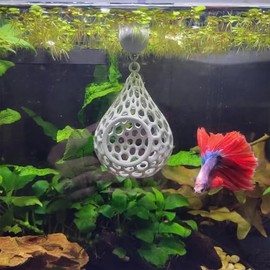 sicutoz Floating Betta Leaf Hammock with Lily Pad – 3D Printed PLA Aquarium Pod Cave – Resting Hideaway for Betta Fish & Shrimp – Calm Floating Shelter – Black Pod with Green Plastic Water Lily