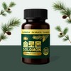 Dr. NUGA 국산 솔잎 추출물 솔로몬 정, 120회분, 2세트 Dr.