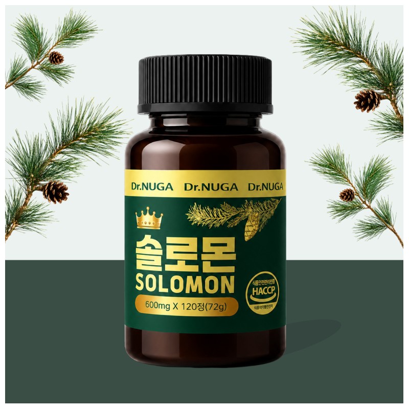 Dr. NUGA 국산 솔잎 추출물 솔로몬 정, 120회분, 2세트 Dr.