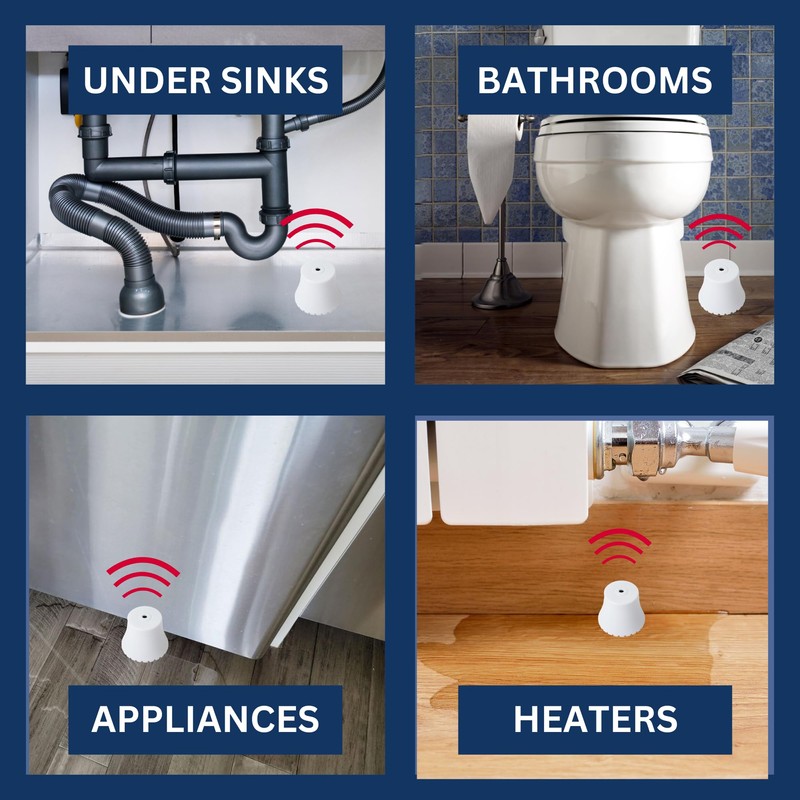 Flood Buzz Small Model | 6-Pack | Reusable, Easy-to-Use Water