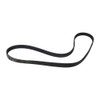 Contitech 5PK1165 V-Ribbed Belt