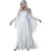 InCharacter Costumes Women's Haunting Beauty Ghost Costume, White/Grey, Small