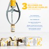 Prominent BB Probióticos para Bebé en Gotas con Vitamina D