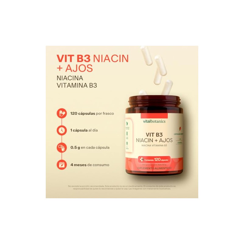 Vitamina B3 Con Niacina Y Ajo VITAL BOTANICS