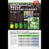 Andro Japan (andro) (Andro) Table Tennis Backhand Soft Rubber Lazenter