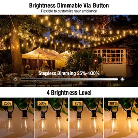 litogo 60FT LED Outdoor String Lights with Dimmer, Waterproof Patio Lights with ST38 Vintage Edison Bulbs, Warm White Outside Hanging Light with Timer for Yard Gazebo Party