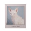 Venus Marble (ヴィーナスマーブル) Eyeshadow Cat Series (Sphinx)