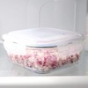 Michael Graves Design MG51737 Food Storage Container, Rectangle: 40 oz,