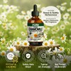 KUKKA Roman Chamomile Essential Oils - 4 Fl Oz -