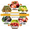 Hardness Tester, GY‑03 Fruit Penetrometer Farm Fruit Penetrometer Hardness Tester