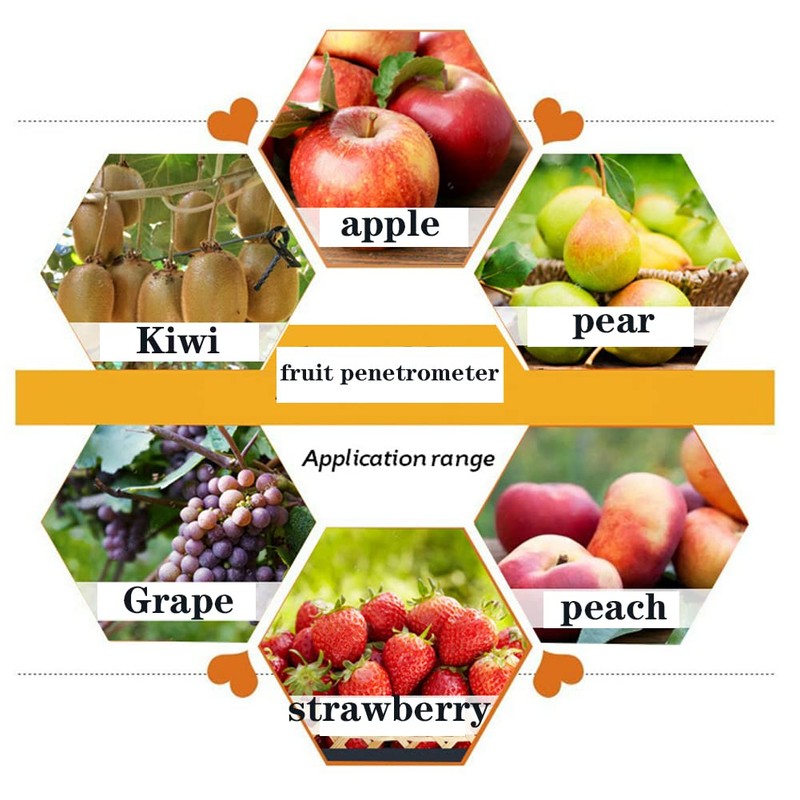 Hardness Tester, GY‑03 Fruit Penetrometer Farm Fruit Penetrometer Hardness Tester