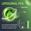 Solavica Liposomal Palmitoylethanolamide (Pea) 1100mg with Luteolin, Micronized Pea -