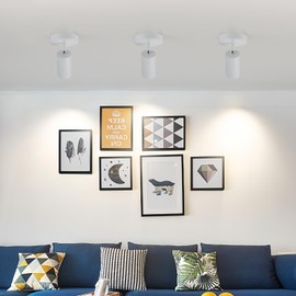 Zicbol White Spot Lights Indoor 2 Pack LED Ceiling Spotlight Fixtures Adjustable 90° Anti-Glare Spotlight for Living Room, Paintings, Wall Art and Artwork, Warm White 3000K