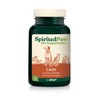 Spirited Paw Calm - Stress Support Chews - Calming Supplement