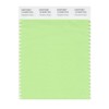 PANTONE Smart 13-0220X Color Swatch Card, Paradise Green