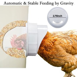 No Waste Chicken Feeder - Automatic DIY Poultry Feeder Port, 4 Ports and Hole Saw, Rat Proof, Rain Proof, Gravity Feed Kit for Buckets, Barrels, Bins, Troughs (4 Ports & Hole Saw)