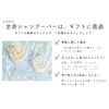 TANE Shampoo Bar, Gift Box, Tomorrow's Present, Domestic Whole Body