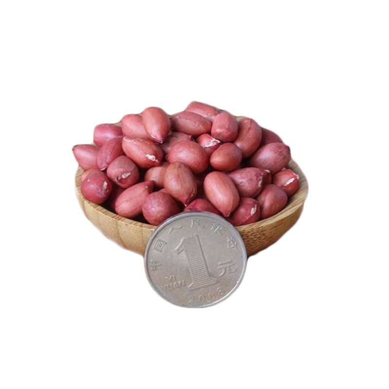 Helen Ou @ Shaanxi Specialty: Raw Red Shelled Peanut Kernel