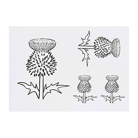 4 x 'Thistle' Temporary Tattoos (TO00008964)
