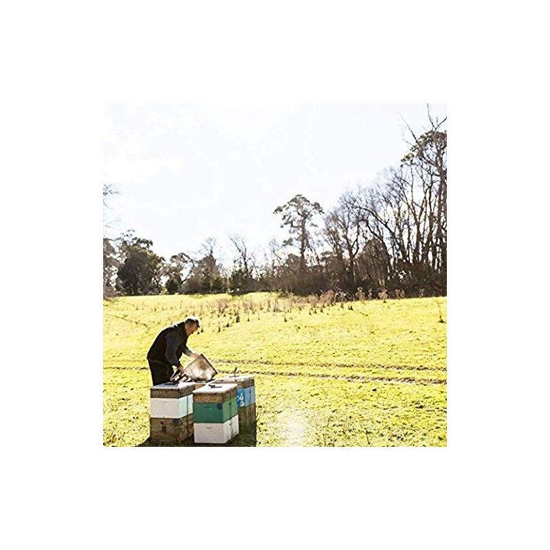Tasmanian Learherwood RAW HONEY | Pure, Unheated, Unfiltered, Unpasteurized, and
