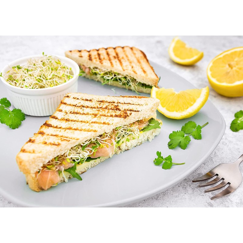 Food to Live Alfalfa Seeds for Sprouting, 1 Pound –