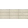 Daltile Mythology 4" x 12" Ceramic Wall Tile in Glossy
