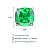 MORGAN & PAIGE Cubic Zirconia Earrings Studs - Platinum Plated