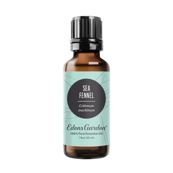 Edens Garden Sea Fennel Essential Oil, 100% Pure Therapeutic Grade (Undiluted Natural/Homeopathic Aromatherapy Scented Essential Oil Singles) 30 ml