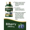 Bilberry Extract Capsules | 2400mg | 200 Count | Vegan