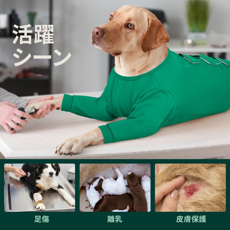Kuoser Dog Postoperative Wear Forefoot Recovery Clothes Long Sleeve Velcro