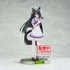 Uma Musume Pretty Derby Manhattan Cafe Figure