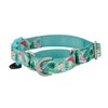 YUDOTE Martingale Dog Collars with Quick Snap Buckle, Nylon with