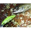 DUEL HARDCORE Lure, Heavy Sinking Minnow, Hardcore, LG Heavy Minnow