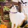 PUPTECK Breakaway Cat Collar with Bell Charm, 2 Packs Adjustable