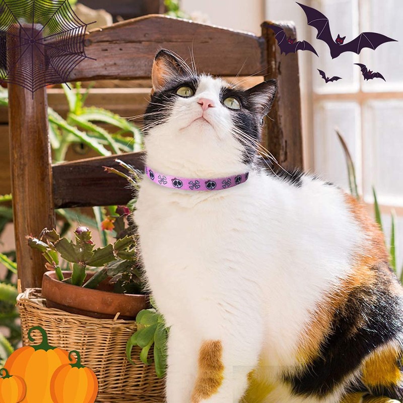 PUPTECK Breakaway Cat Collar with Bell Charm, 2 Packs Adjustable