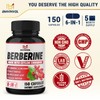 Berberine HCl, 150 Capsules - Plus Ceylon Cinnamon, Turmeric, Milk