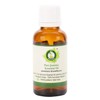 R V Essential Pure Jasmine Essential Oil 10ml (0.338oz)- Jasminum