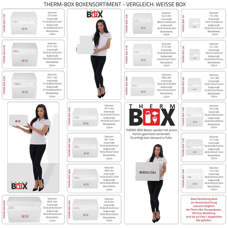 THERM BOX Polystyrene Box 2 W 24 x 20 x