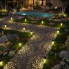 gardencave 6 Pack Solar Lights Outdoor Garden Decorative with Warm