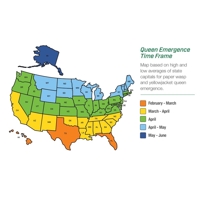 RESCUE! Reusable Yellowjacket Trap – Includes Attractant