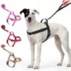 Annchwool No Pull Dog Harness with Front Clip and Easy